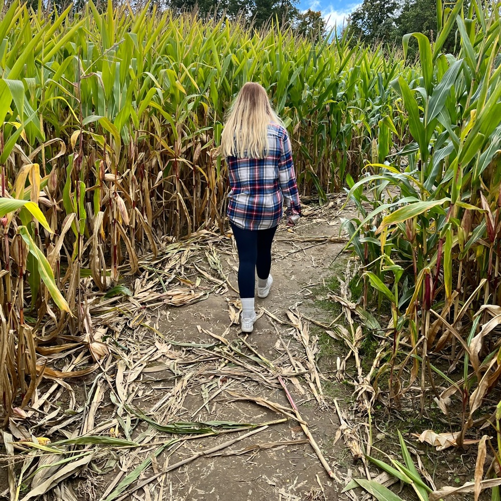 Meet your Posher, Lexi